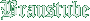 Braustube